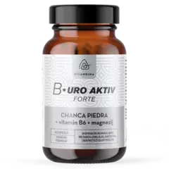 BIOANDINA B-URO AKTIV FORTE caps a'60